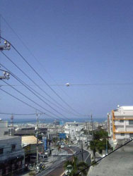 ��Ђ̃x�����_����